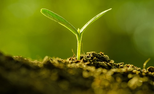 為避免誤導用戶，便攜式土壤水分速測儀使用需注意